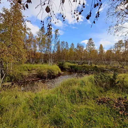 Lavijoki * Kaaresuvanto