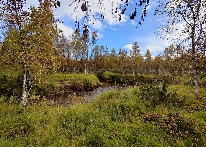 Lavijoki * Karesuvanto